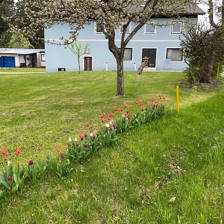 Nikolaierhaus Appartamento