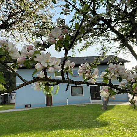 Appartamento Nikolaierhaus *